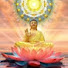 ZcEUOLjJT9I-channel-avatar-Lotus Frequency