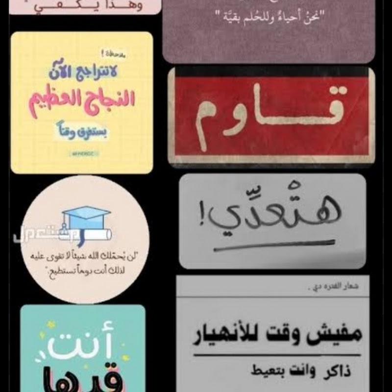 زهره اللوتس🥰🥰
