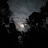 @maniesh.maneesh
