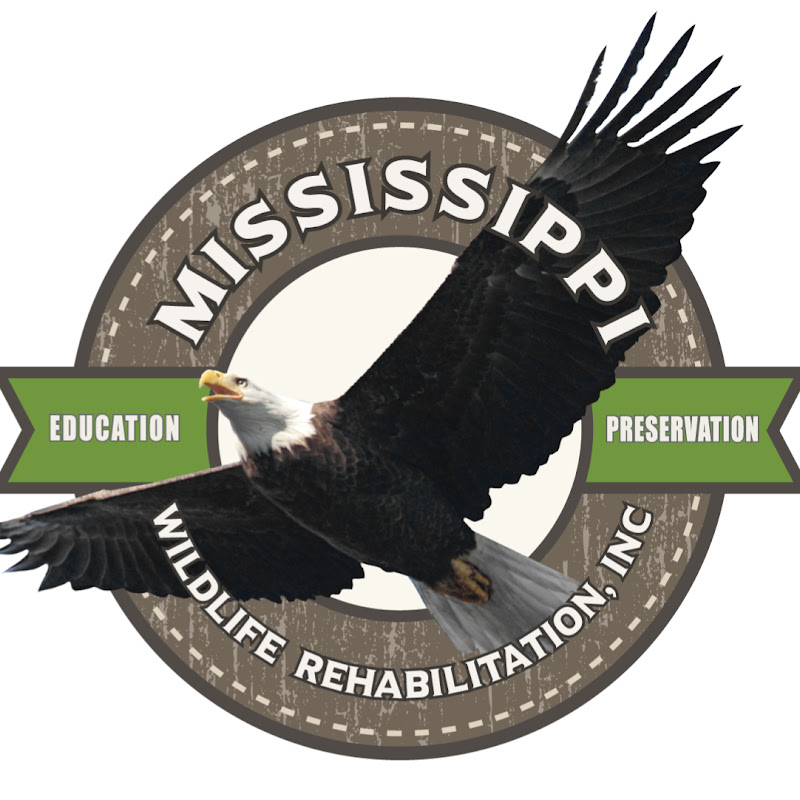 Mississippi Wildlife Rehabilitation Inc avatar