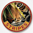 6l_LIzXjo5g-channel-avatar-STRIPES ENTERTAINMENT LLP