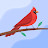 @EdieC-f8v Avatar