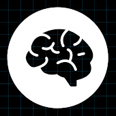 Smarter While You Sleep