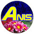 tP09XW_Kzn8-channel-avatar-Anis 