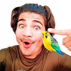 Waleed Pets Club 