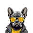 IgWvrlvleWA-channel-avatar-Pet Generation