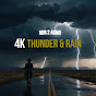 RDR2 4K Thunder & Rain logo