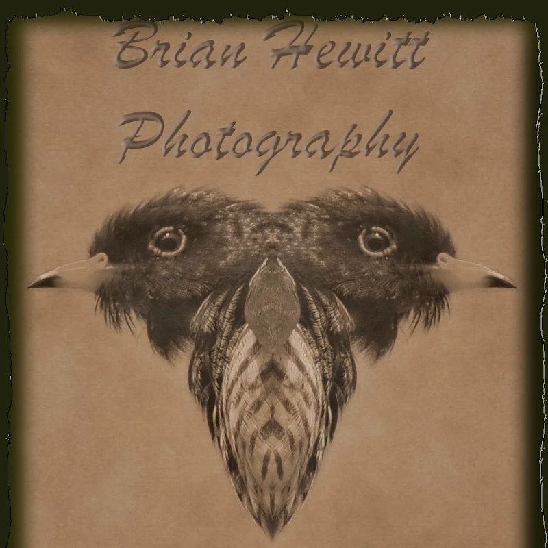 Thaibirdspot