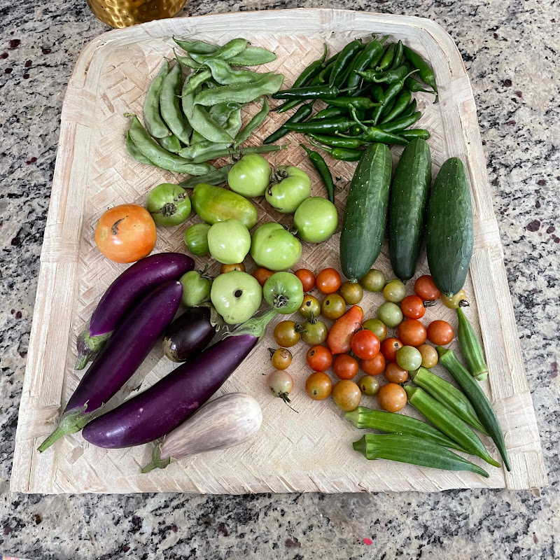 Swetha's Yard to Table