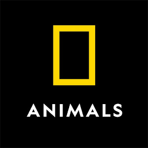 Natgeowild YouTube channel image