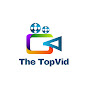 The TopVid Avatar