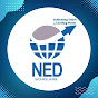 NED SCHOLARS logo