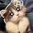 @Mo7amilan