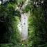 c6NSJL0oB2Y-channel-avatar-Gin-Rain natural sounds