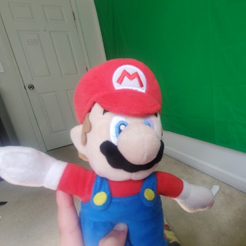 mario and luigi fans