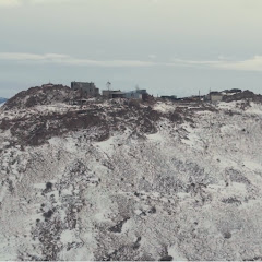 MtnFortressLabs net worth