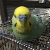 苔水庭 ビオトープ庭園