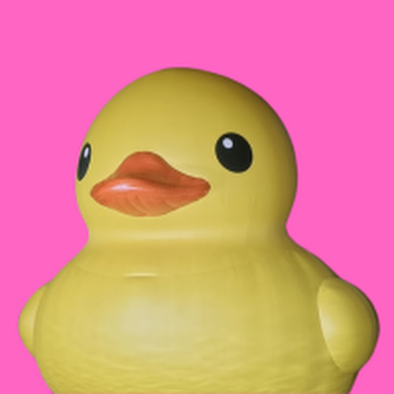 쇼츠덕