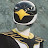 @zRexxz's avatar