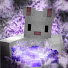 fhnYMJbIN7c-channel-avatar-Hase116T
