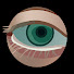 dFdNqKMt_Bo-channel-avatar-Cinematography in