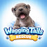dPqQD91NYoc-channel-avatar-Wagging Tails Rescue