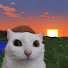 JNndbHfISLg-channel-avatar-ненуачо)
