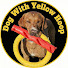 f85JCZb7CjU-channel-avatar-Dog With Yellow Hoop