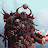 @BearerofWords Avatar