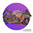 nBdREVDIoPY-channel-avatar-Restorator man
