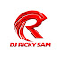 CZ0GpTvuOhg-channel-avatar-Dj Ricky Sam