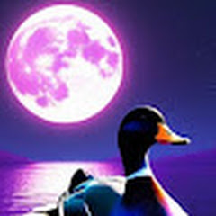 Le Couvoir VOD
