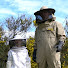 pgnDrVc2uNE-channel-avatar-Becoming a Beekeeper