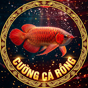 cường cá rồng