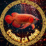 Oqin0vHPQhw-channel-avatar-cường cá rồng