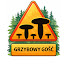 55SpPDHpDeE-channel-avatar-Grzybowy Gość | Grzyby i Grzybobranie