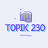 TOPIK신화 230