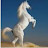 @nerjislbrahim3691