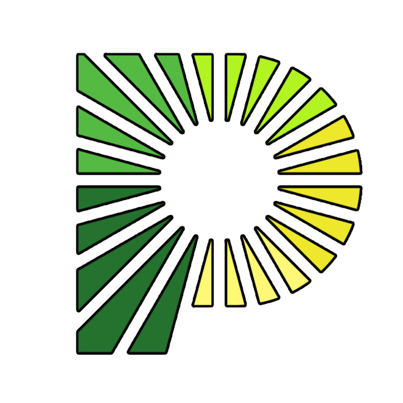 R13 (aka Ромашка) Logo