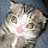 @Zwid218's avatar