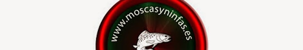 Moscas y Ninfas YouTube channel avatar