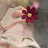 @اسماءالسيداحمدسويلم