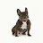 @someoneonyoutube2518 Avatar