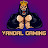 Vandal Gaming 