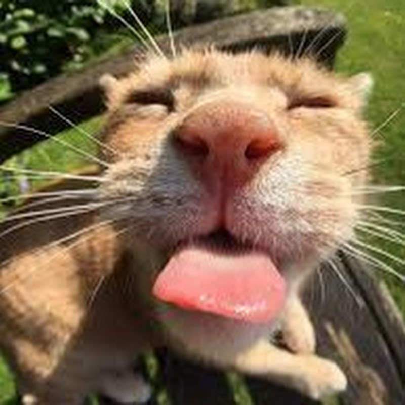 まるごと日本ニュース