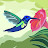 COLIBRI