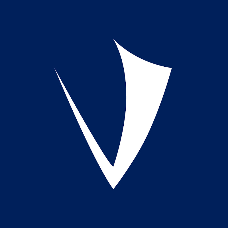 Viking Mergers & Acquisitions