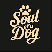 Soul of a Dog