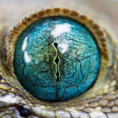 リバーシブル【reversible】