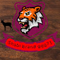 shabi video ggg71 logo
